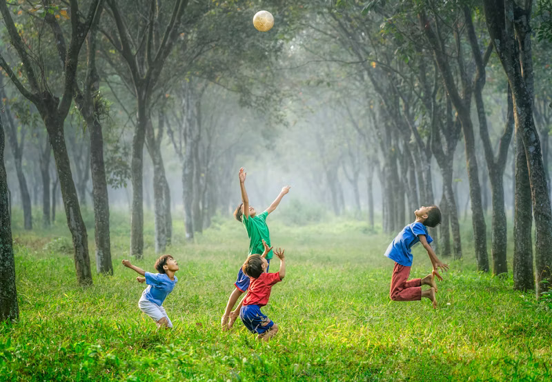 Ecosystem Services